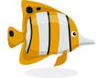 Fish 2