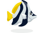 fish 5