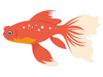 fish 6